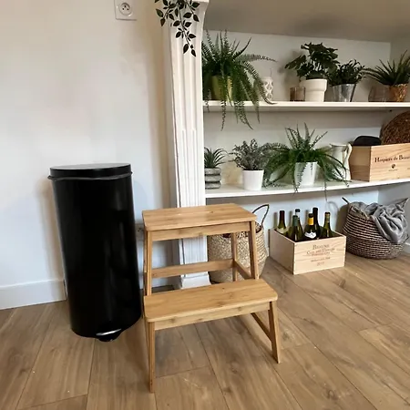 Le Havre D'olga - Homillesime