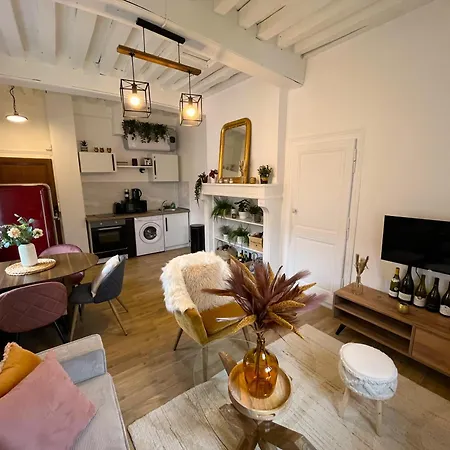 Appartement Le Havre D'olga - Homillesime *