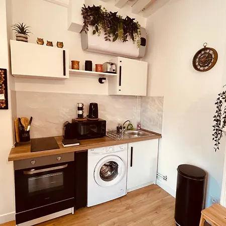 Le Havre D'olga - Homillesime * Dijon