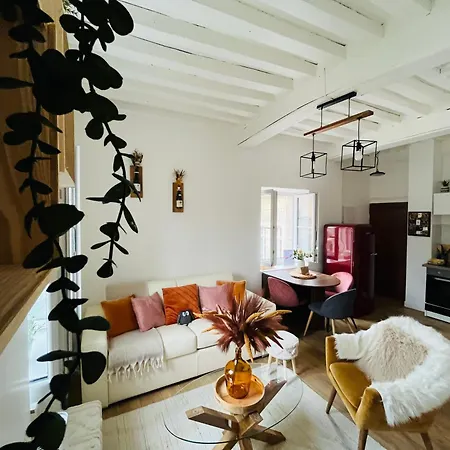 Appartement Le Havre D'olga - Homillesime *