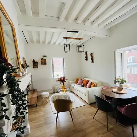 Le Havre D'olga - Homillesime Apartment *