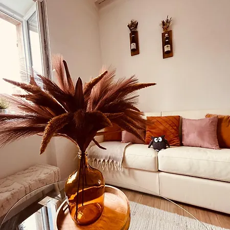 Le Havre D'olga - Homillesime アパート *