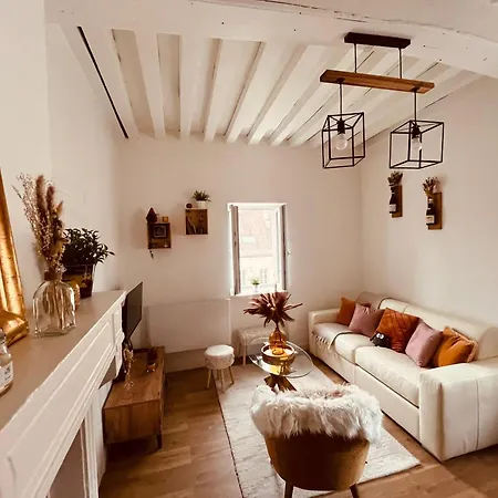 Appartement Le Havre D'olga - Homillesime *