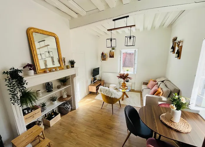 Le Havre D'olga - Homillesime *