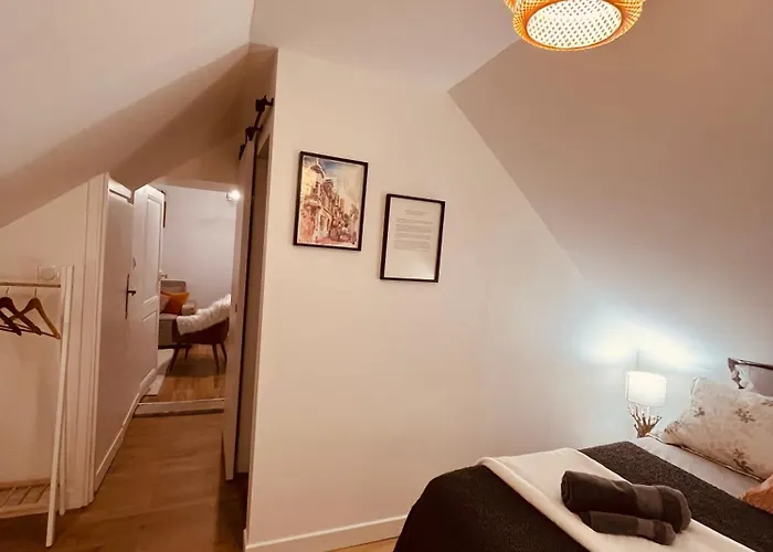 Le Havre D'olga - Homillesime * Dijon