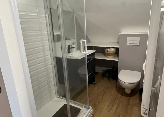 Le Havre D'olga - Homillesime Dijon