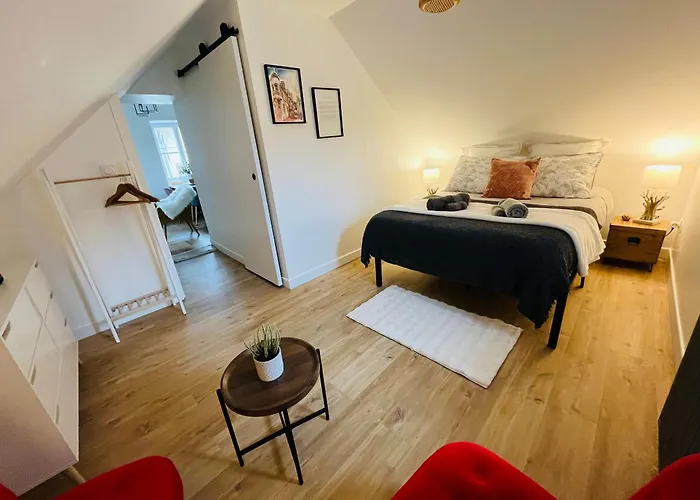 Le Havre D'olga - Homillesime Dijon