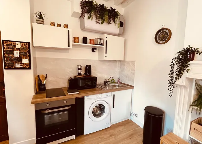 Le Havre D'olga - Homillesime * ディジョン