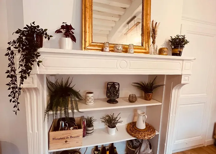 Apartment Le Havre D'olga - Homillesime *