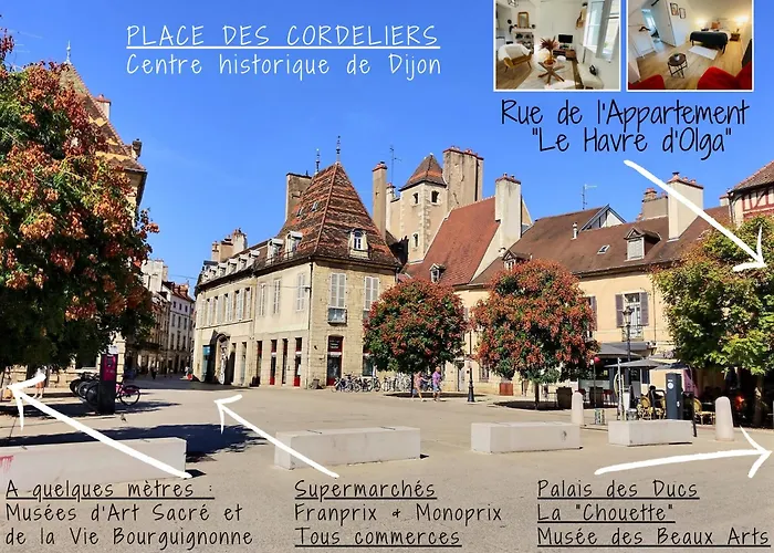 Le Havre D'olga - Homillesime Apartment Dijon