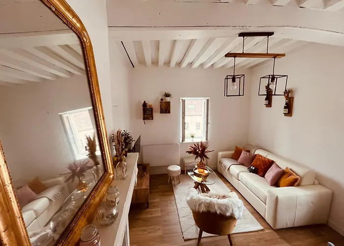 Le Havre D'olga - Homillesime Apartment Dijon