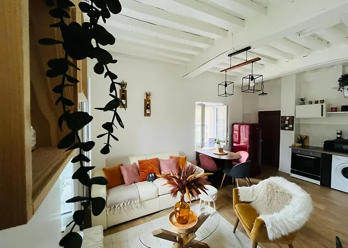 Apartment Le Havre D'olga - Homillesime *