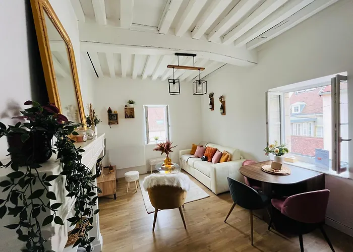 Le Havre D'olga - Homillesime Apartment *