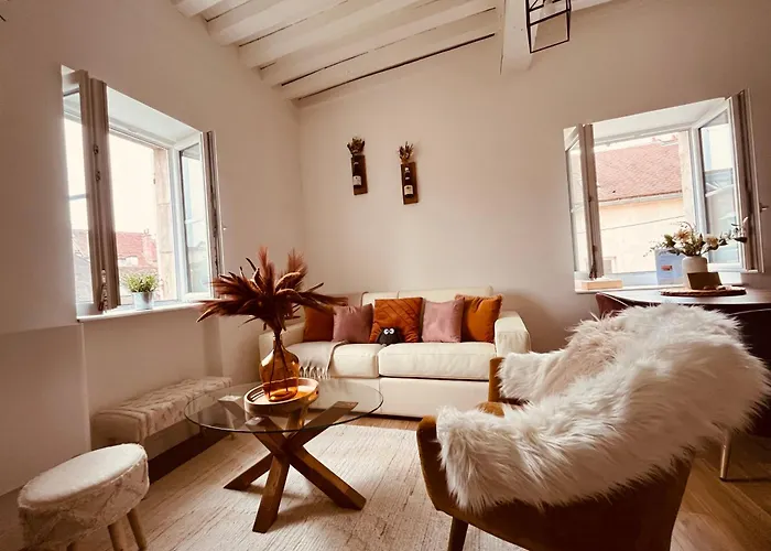 Apartment Le Havre D'olga - Homillesime Dijon