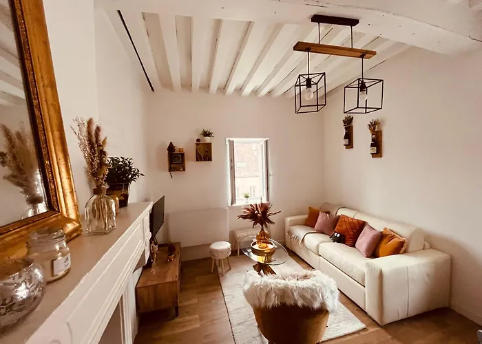 Apartment Le Havre D'olga - Homillesime *